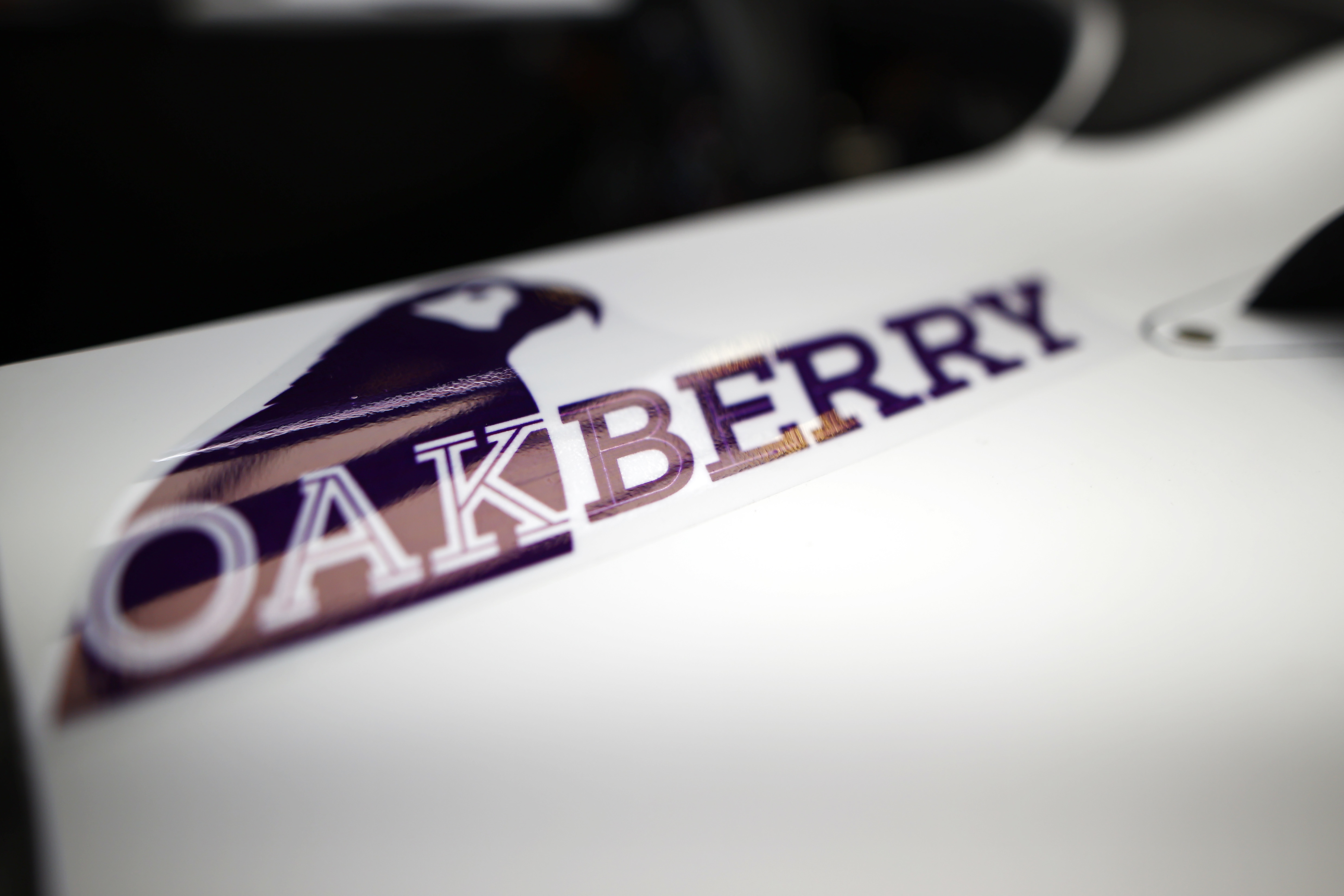 Oakberry Branding