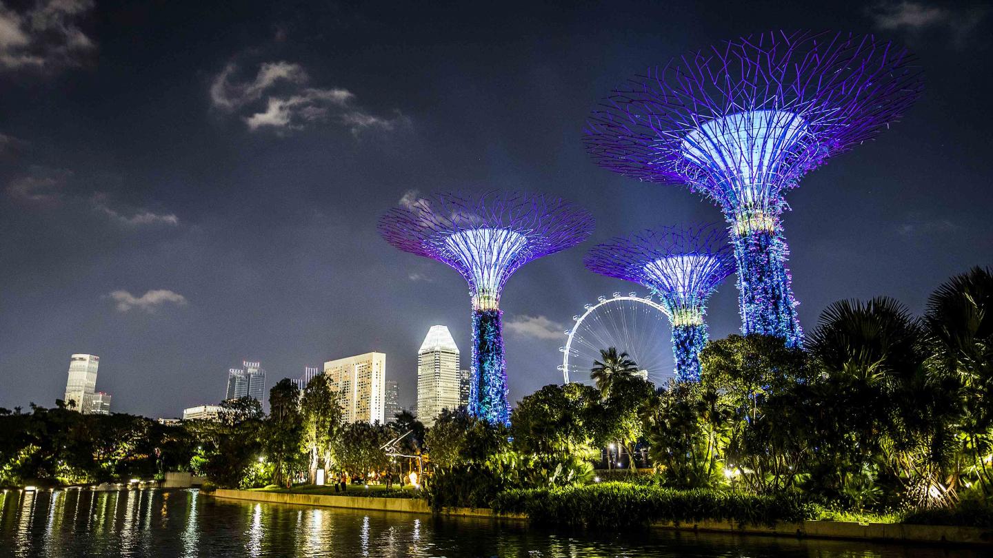 Singapore Skyline